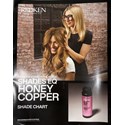Redken HONEY COPPER SHADE CHART Ea